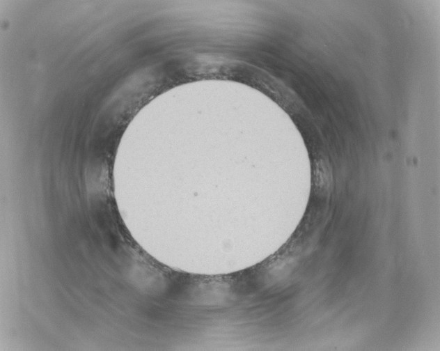 X0000072990820200608111804