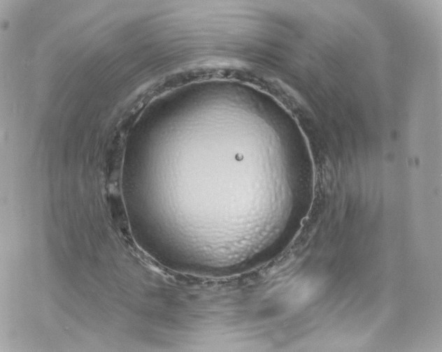 X0000072990821200608111804