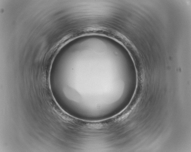 X0000072990825200608111805