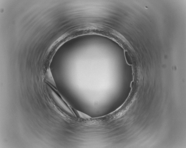 X0000072990826200608111805