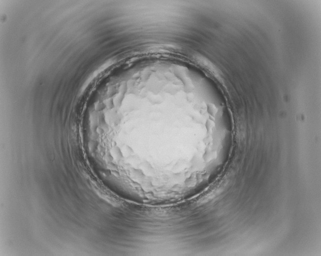 X0000072990827200608111805