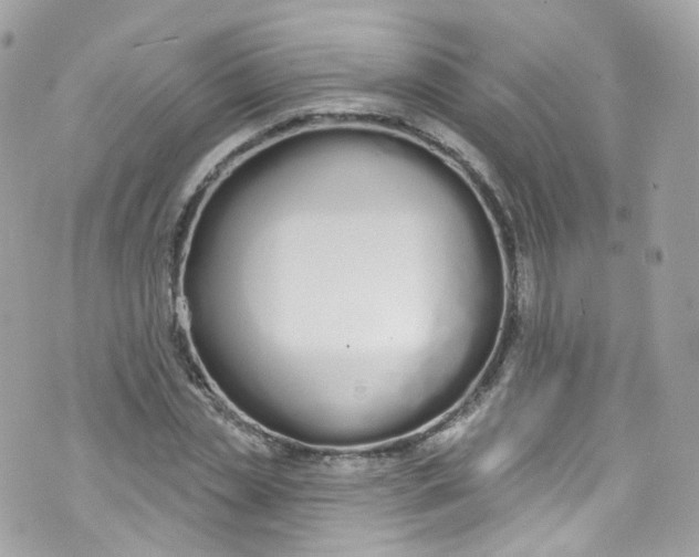 X0000072990829200608111805