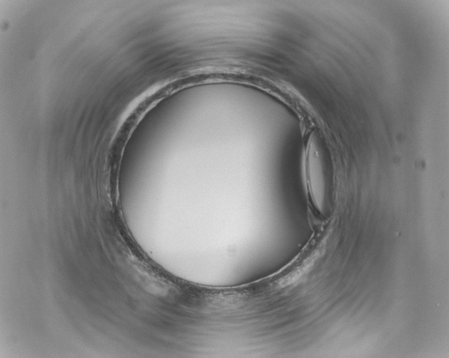 X0000072990830200608111805