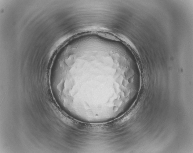 X0000072990831200608111805