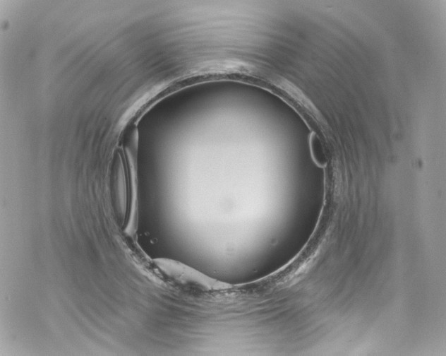 X0000072990834200608111805