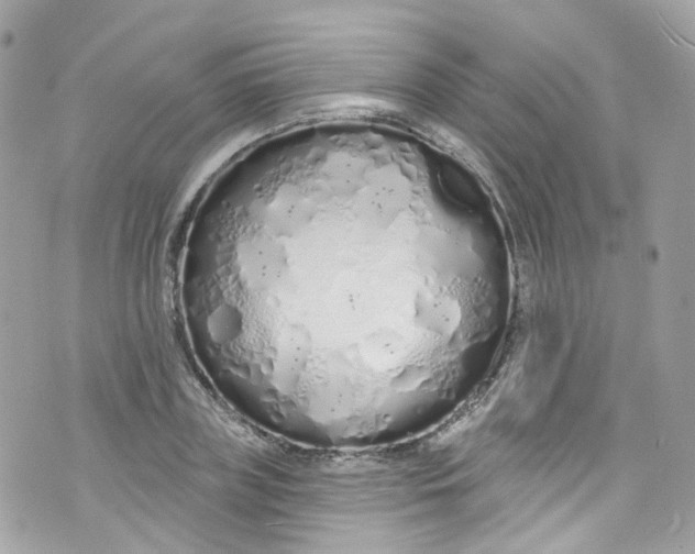 X0000072990835200608111805