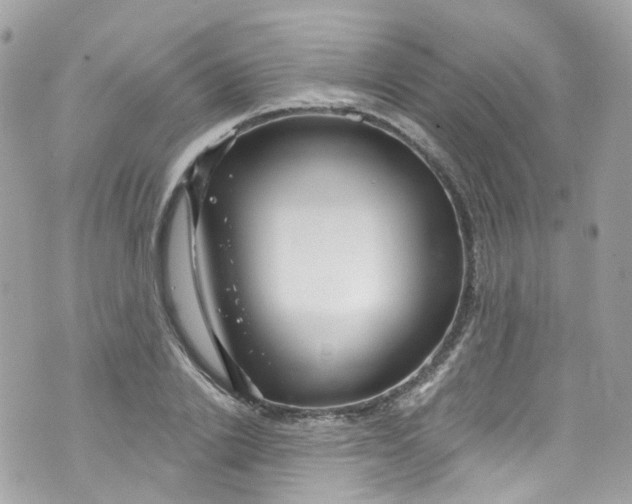 X0000072990838200608111805