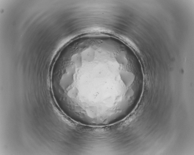 X0000072990839200608111805