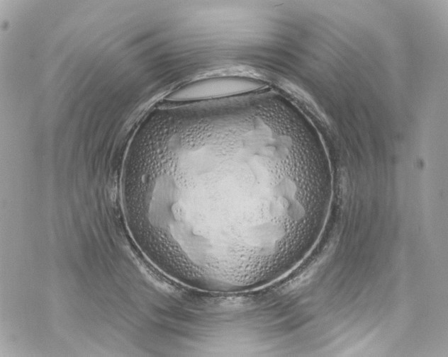 X0000072990841200608111805