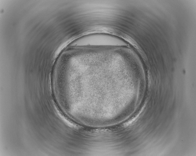 X0000072990842200608111805