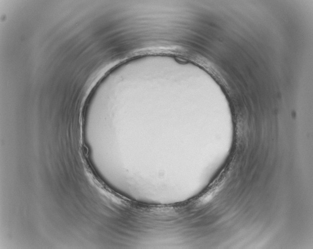 X0000072990844200608111805