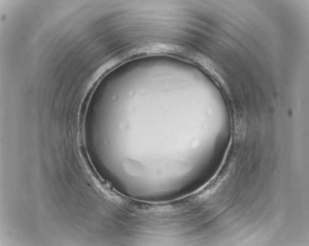 X0000072990845200608111805