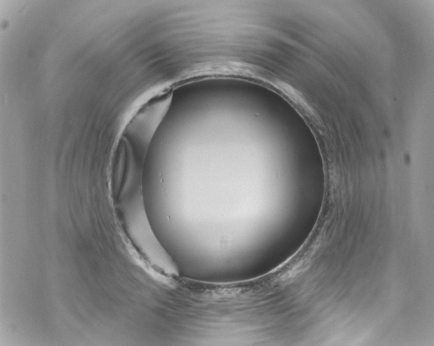 X0000072990846200608111805