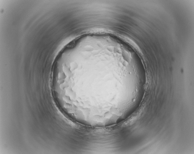 X0000072990847200608111805