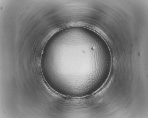 X0000072990849200608111805