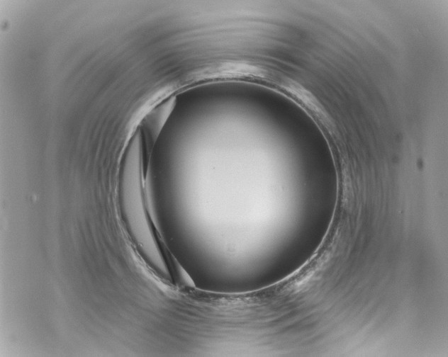 X0000072990850200608111805