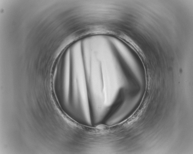 X0000072990853200608111805