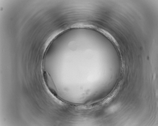 X0000072990855200608111805