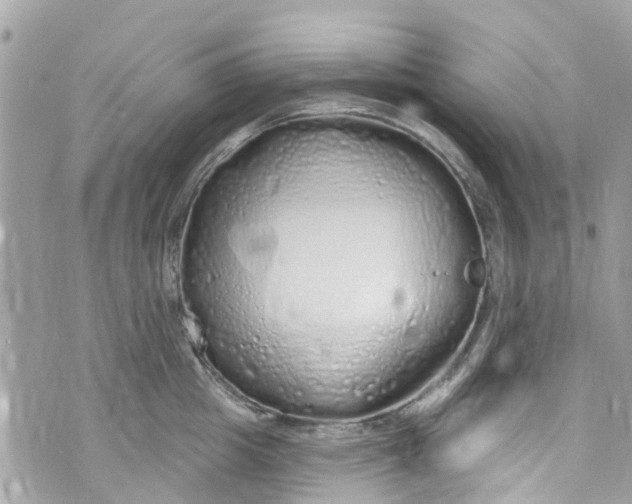 X0000072990857200608111805