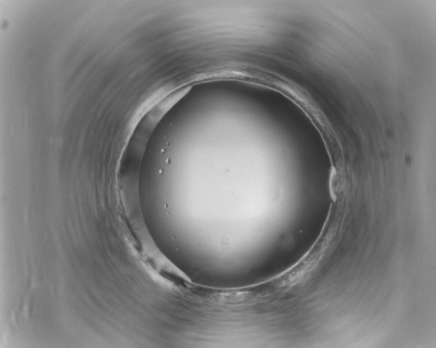 X0000072990858200608111805