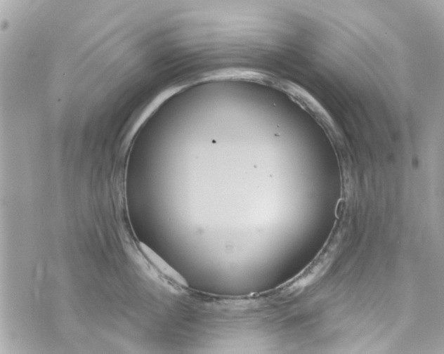 X0000072990860200608111805