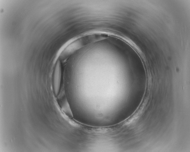 X0000072990862200608111805