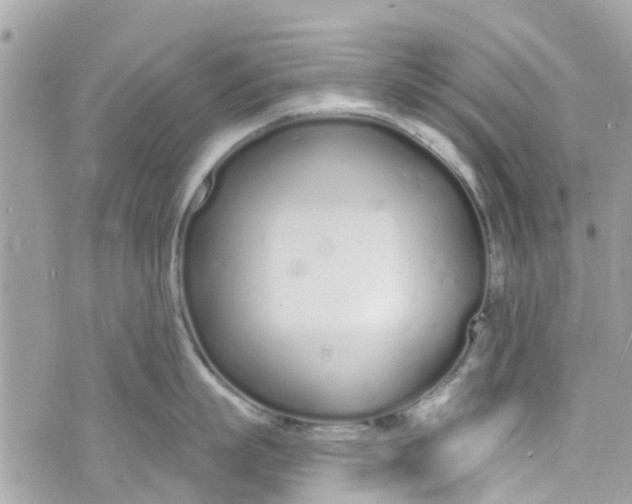 X0000072990863200608111805