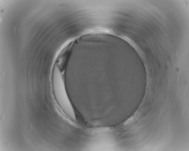 X0000072990864200608111805