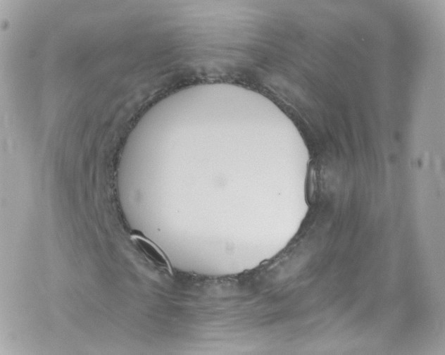 X0000072990865200608111804