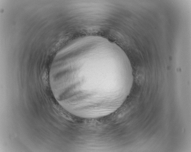 X0000072990866200608111804