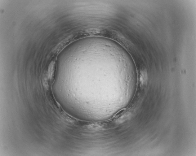 X0000072990867200608111804