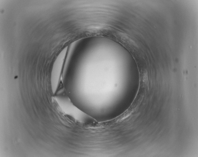 X0000072990868200608111804