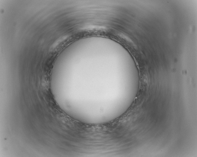 X0000072990869200608111804