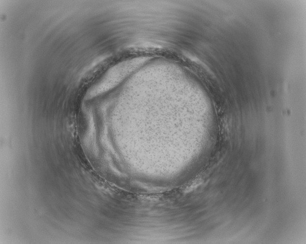 X0000072990870200608111804