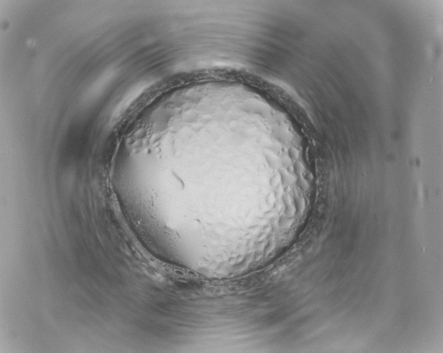 X0000072990871200608111804