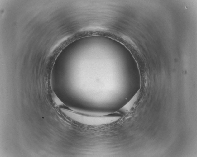 X0000072990872200608111804