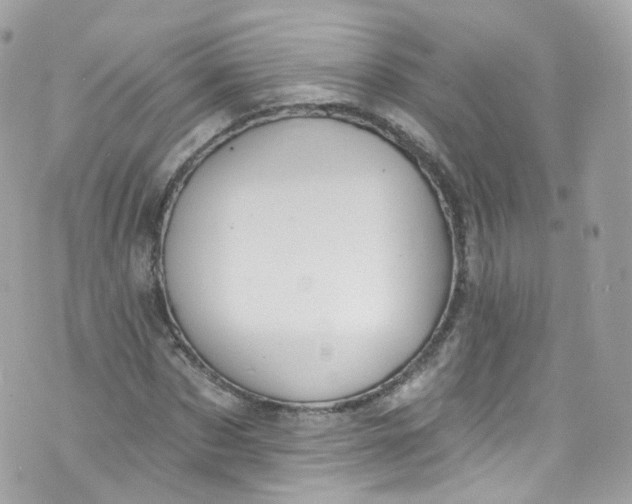 X0000072990873200608111804