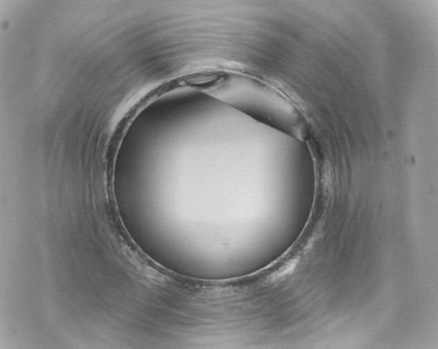 X0000072990877200608111804