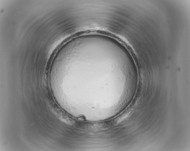 X0000072990879200608111804