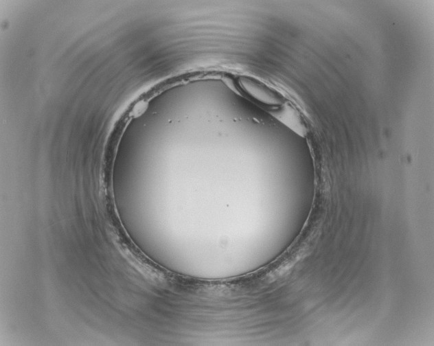 X0000072990880200608111804