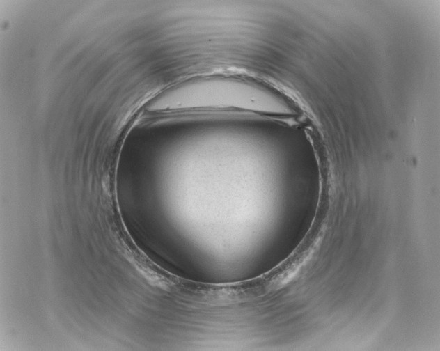 X0000072990881200608111804