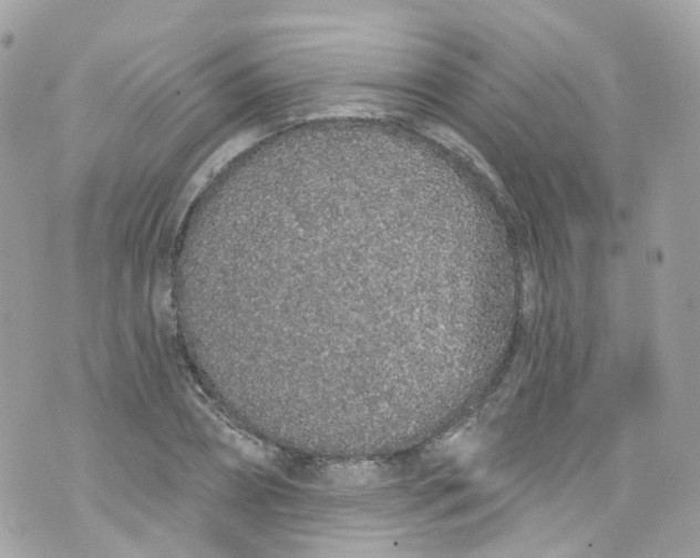 X0000072990882200608111804