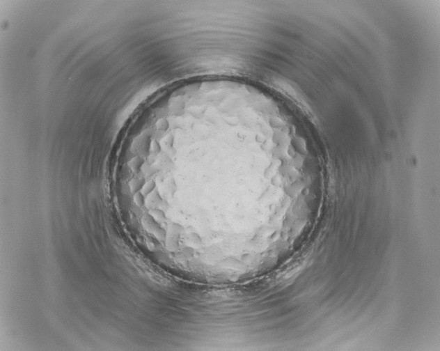 X0000072990883200608111804