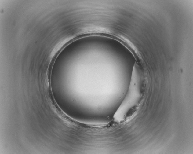 X0000072990885200608111804