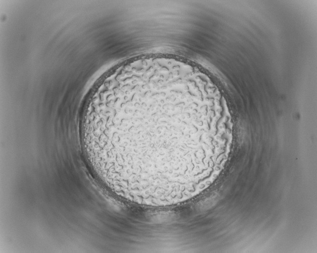 X0000072990886200608111804