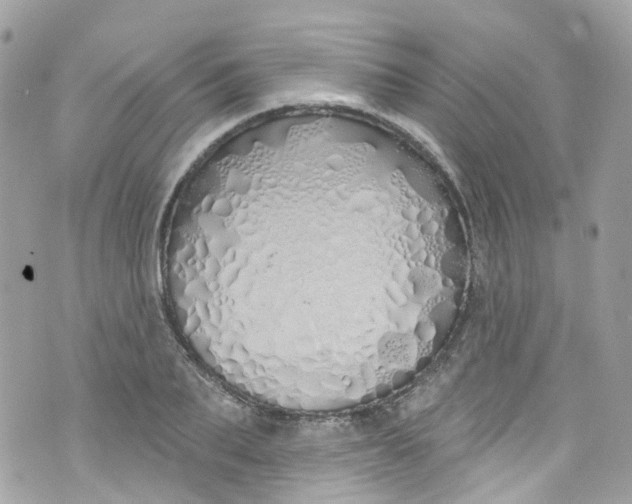 X0000072990887200608111804