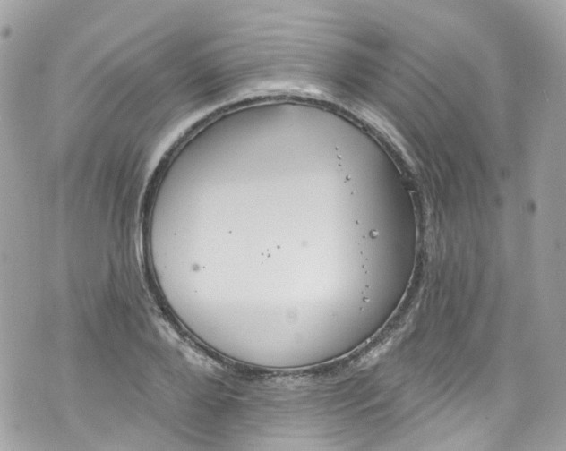 X0000072990888200608111804