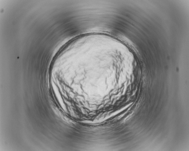 X0000072990892200608111804