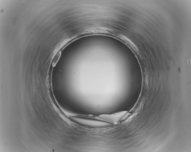 X0000072990893200608111804