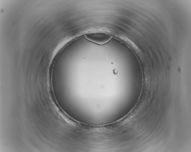 X0000072990894200608111804